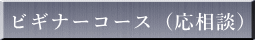 ビギナーコース（応相談）